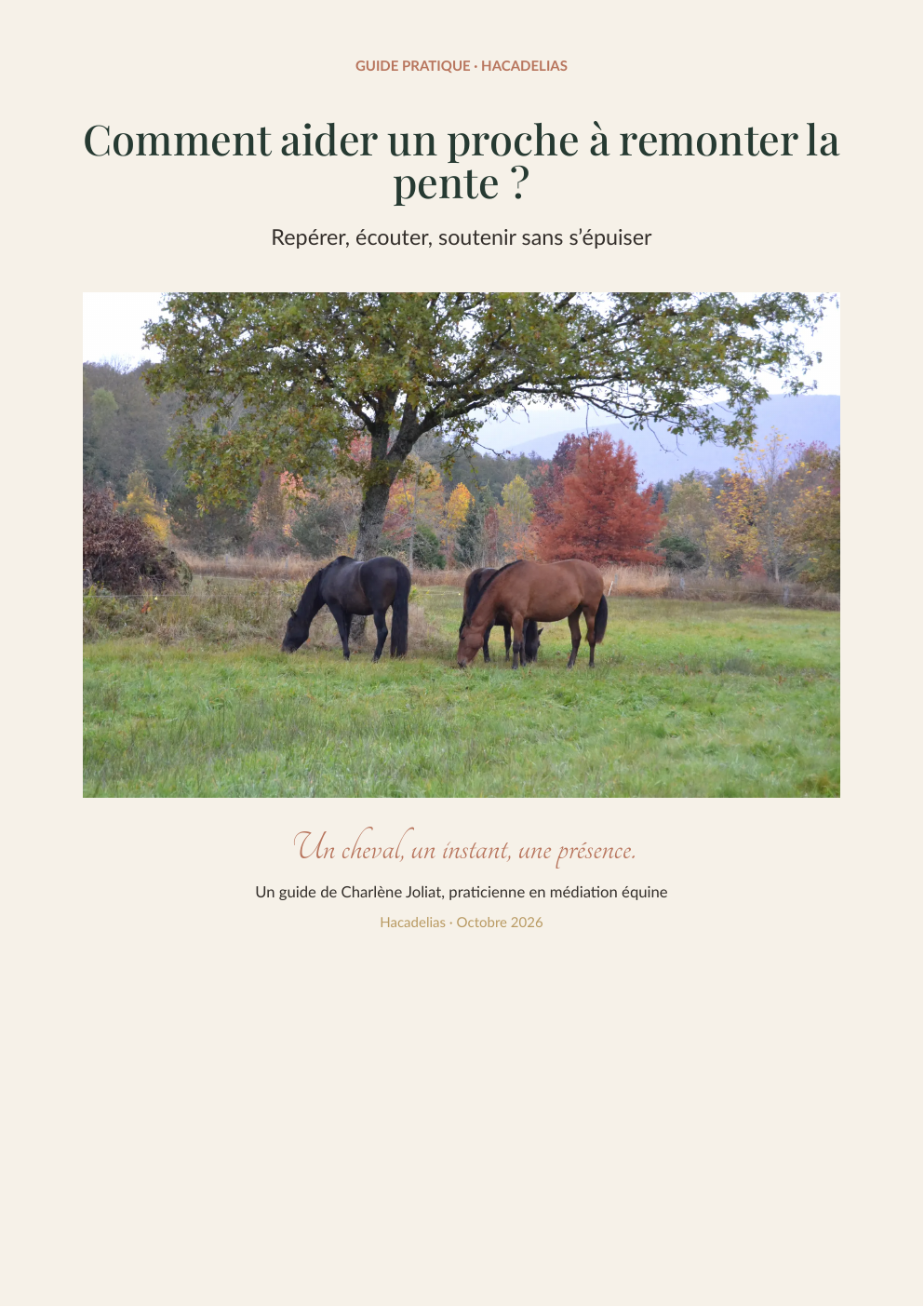 Couverture du guide Hacadelias : Comment aider un proche à remonter la pente ?